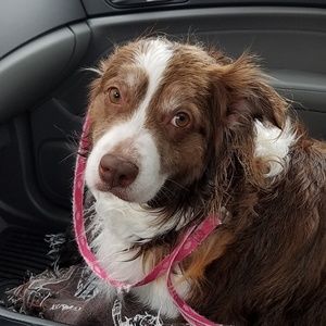 Meet your Posher, Joe